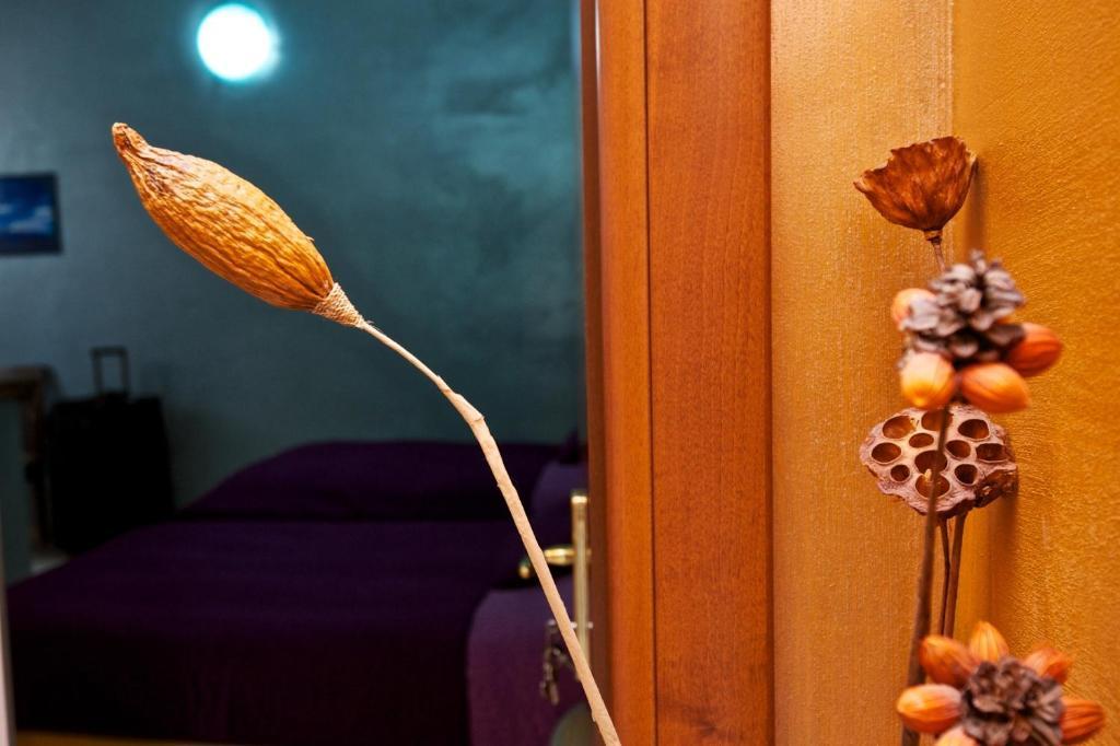 Guesthouse Il Gong Ρώμη Εξωτερικό φωτογραφία